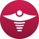 Intellatriage logo