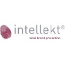Intellekt Group logo