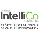 Conseil Intellico logo