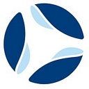 Dgp Intelsius logo