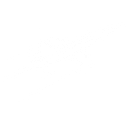 Interactivated Solutions