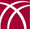 Interactive Audio Visual Inc. logo