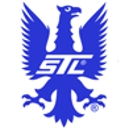 Interco Tire Corp logo