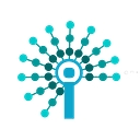 Consultare Inc. logo