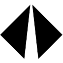 International logo