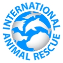 International Animal Rescue logo