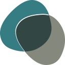 Favicon of Interogo Holding AG