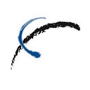 Interra Usa Inc logo