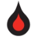International Medical Management logo