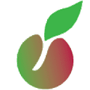 INTREPID PHILANTHROPY FOUNDATION logo