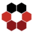Intrepidus Group, Inc.