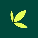 Bamboo logo