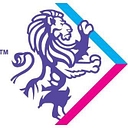 Insight Investigations logo