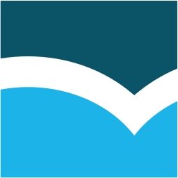 avatar logo