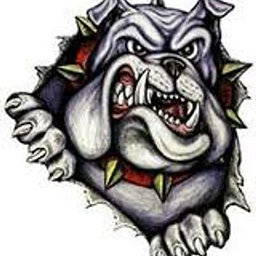 IOLA EL logo