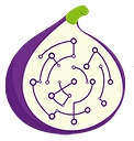 Iotfig logo