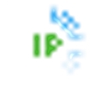 ipleak.net logo