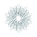 Ips Capital Llp logo
