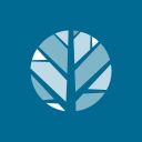 Angel Oak Mortgage Logo