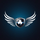 Irish Angel Inc logo