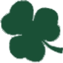 Irish Dancing Magazine logo