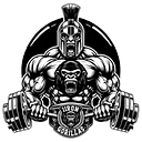 iRoids.com logo