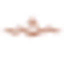 Iron Mountain Hot Springs logo