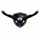 Iron Wing Security, LLC logo