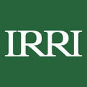 International Rice Research Institute logo