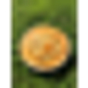 Ispypies logo