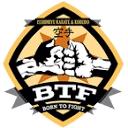 Isshinryu Karate logo