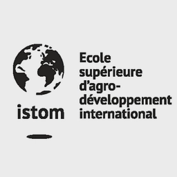 Logo ISTOM