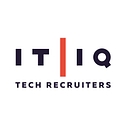 It/Iq Tech Recruiters logo