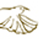 ITI KŌPARA - PUBLIC GOVERNANCE AOTEAROA  logo