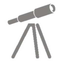 IT Looking Glass LLC logo