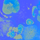 Good Bacteria