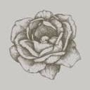Itslanirose logo