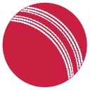 itsonlycricket.com logo
