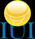 Information Unlimited Inc. logo