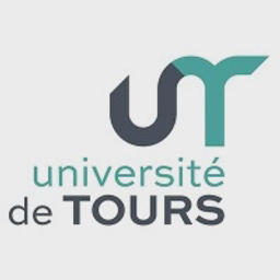 Logo IUT de Tours