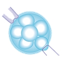 Delaware Institute For Reproductive Medicine, Pa logo