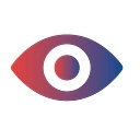 Ivis Security, Inc. logo