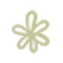 Ivory Bloom 