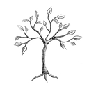 Ivory Tree Portraits