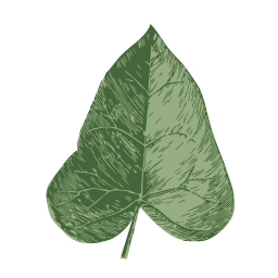 Ivybrook Academy logo