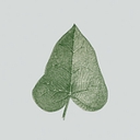 Ivybrook Academy logo