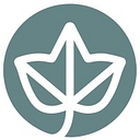 Ivy Medical logo