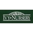 Ivy Nursery logo