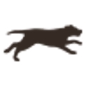 jacquielawson.com icon