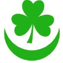The Joint Arab Irish Chamber Of Commerce logo